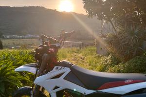 beta 50 rr (top 75)