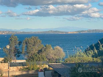 Baja Sardinia, villa panoramica sul mare, giardino