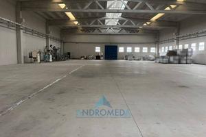 Immobile di 1750 m² a San Salvatore Telesino