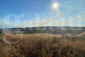 Terreno Agricolo Roseto degli Abruzzi