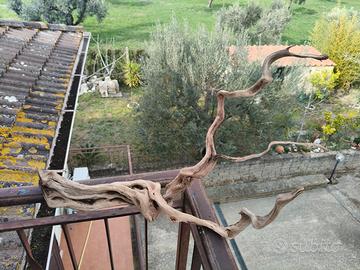 legno per acquario 