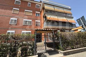 Appartamento Ciampino [245mura dei francesiVRG]