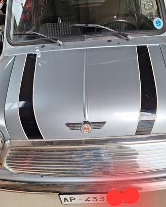 Cooper 1300