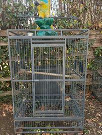 Gabbia pappagallo