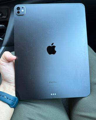 Ipad Pro M4 13 pollici