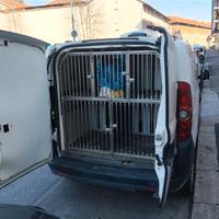 Doblò trasporto cani omologato