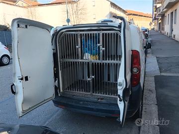 Doblò trasporto cani omologato