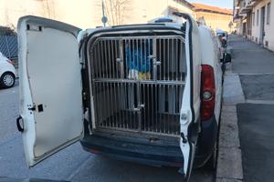 Doblò trasporto cani omologato