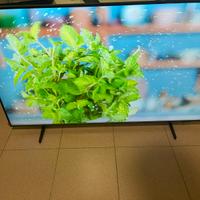 Tv samsung 50” QLed 4K