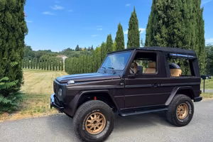 MERCEDES-BENZ G WOLF TAILOR MADE