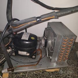 motore per frigoriferi 