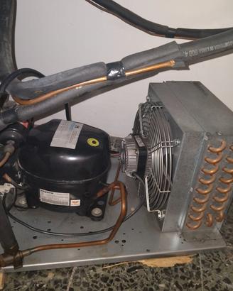 motore per frigoriferi 