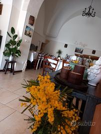 Ristorante / Pizzeria ben avviata