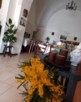 Ristorante / Pizzeria ben avviata