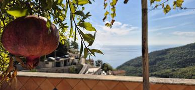 3 LOCALI A VIETRI SUL MARE