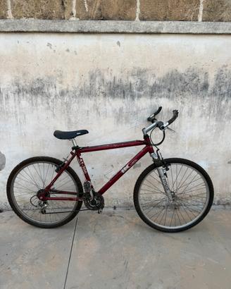 Bicicletta