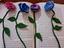 Immagine 4