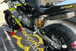 Mir Racing 190 Daytona - Mini Gp 12 pollici