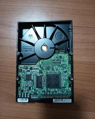 Disco fisso Maxtor 80gb