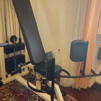 Macchina Palestra Professionale TECA Adductor (Int