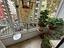 Immagine 14