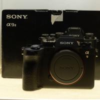 SONY A9II / 1.274 SCATTI