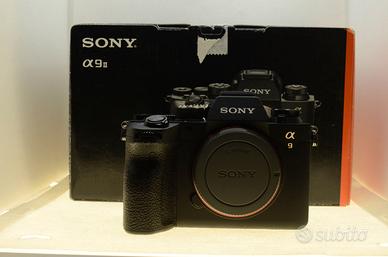 SONY A9II / 1.274 SCATTI