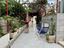 Immagine 2