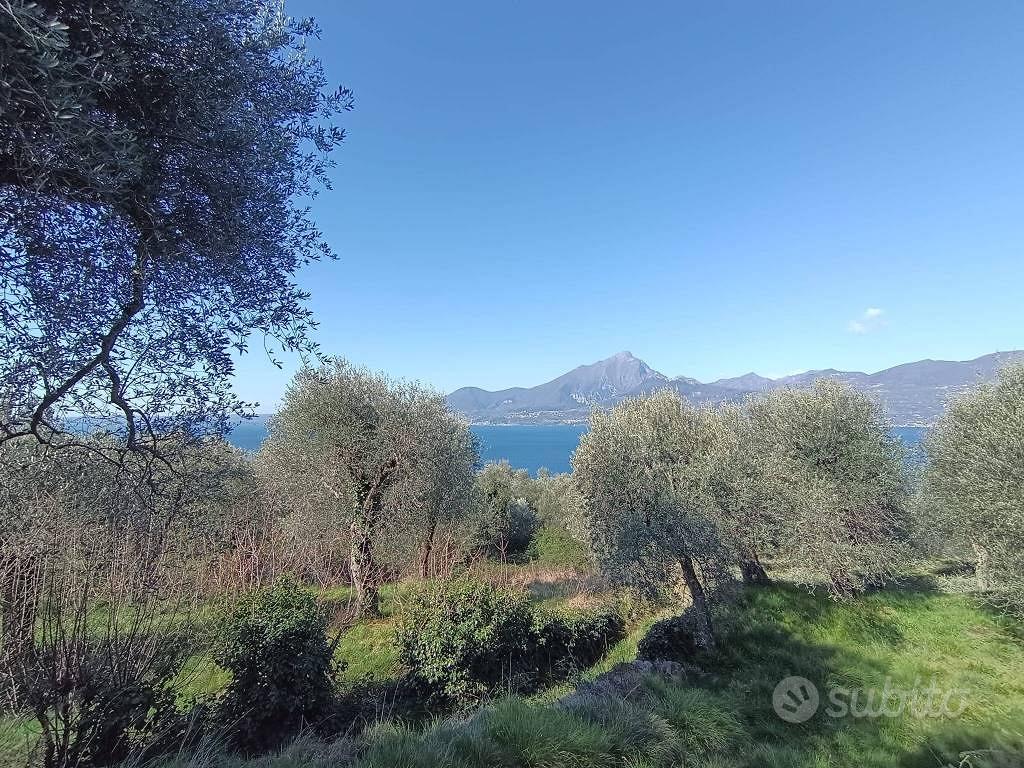 Terreno di 3627 m² a Torri del Benaco - Vista 4