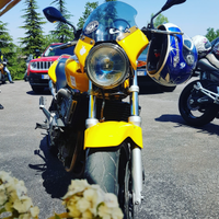 Honda Hornet