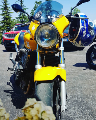 Honda Hornet