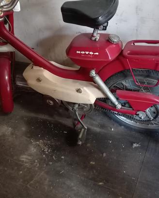 ciclomotore Motom Dandy conservato