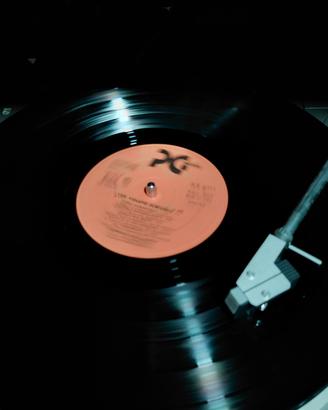 disco vinile 33 giri