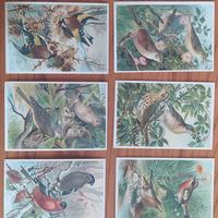 cartoline Kaiser Brust Caramellen