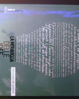 Libro scolastico La meraviglia delle idee 3