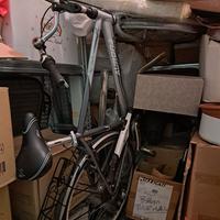 Bicicletta Aurora unisex