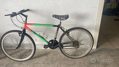 bicicletta, castoro
