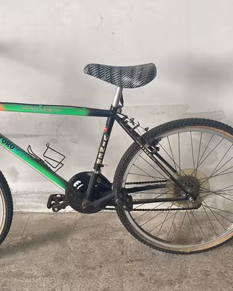 bicicletta, castoro
