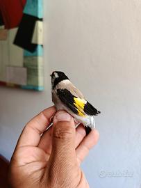 Cardellino