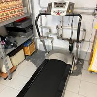 Tapis Roulant PRO-FORM One Step 1.0