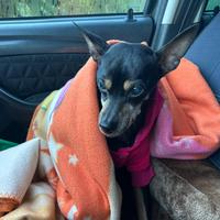 Trudy buttata come una scarpa vecchia