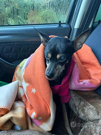 Trudy buttata come una scarpa vecchia