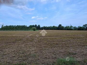 TER. AGRICOLO A PIANIGA