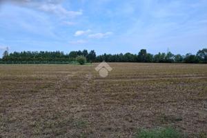 TER. AGRICOLO A PIANIGA