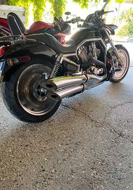 Harley Davidson W Rod