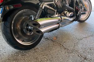 Harley Davidson W Rod