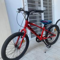 Bici da bimbo DINO 20" monomarcia