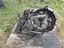 Immagine 5