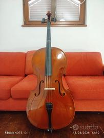 Violoncello 4/4 Luthier con custodia rigida
