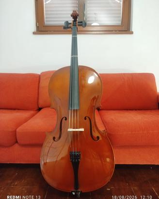 Violoncello 4/4 Luthier con custodia rigida